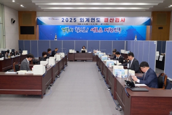2025 회계연도 결산검사 대표이미지