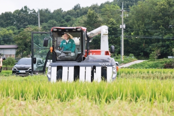 경북 첫 벼베기 행사 대표이미지